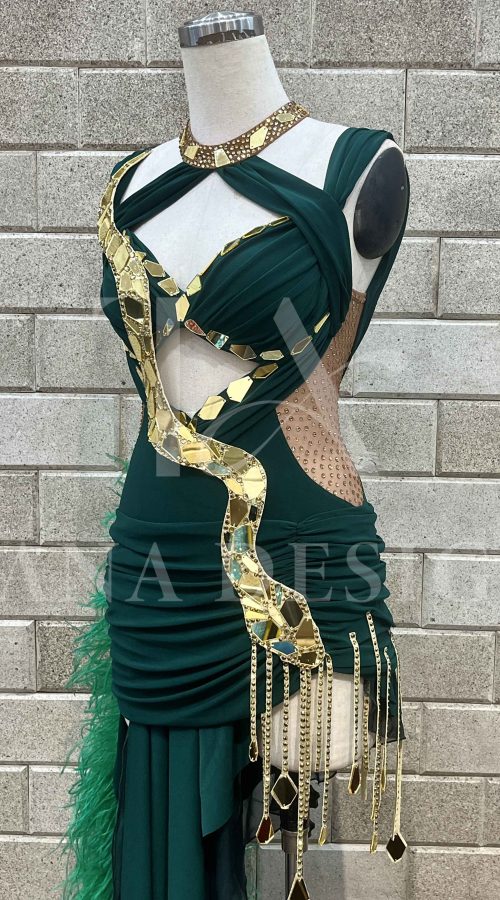 Women-Competion-Latin-Ballroom-Dance-Dress-Smooth-Salsa-Rumba-Swing-TANA-Lycra-Chiffon-Mesh-Open-Back-Dancewear