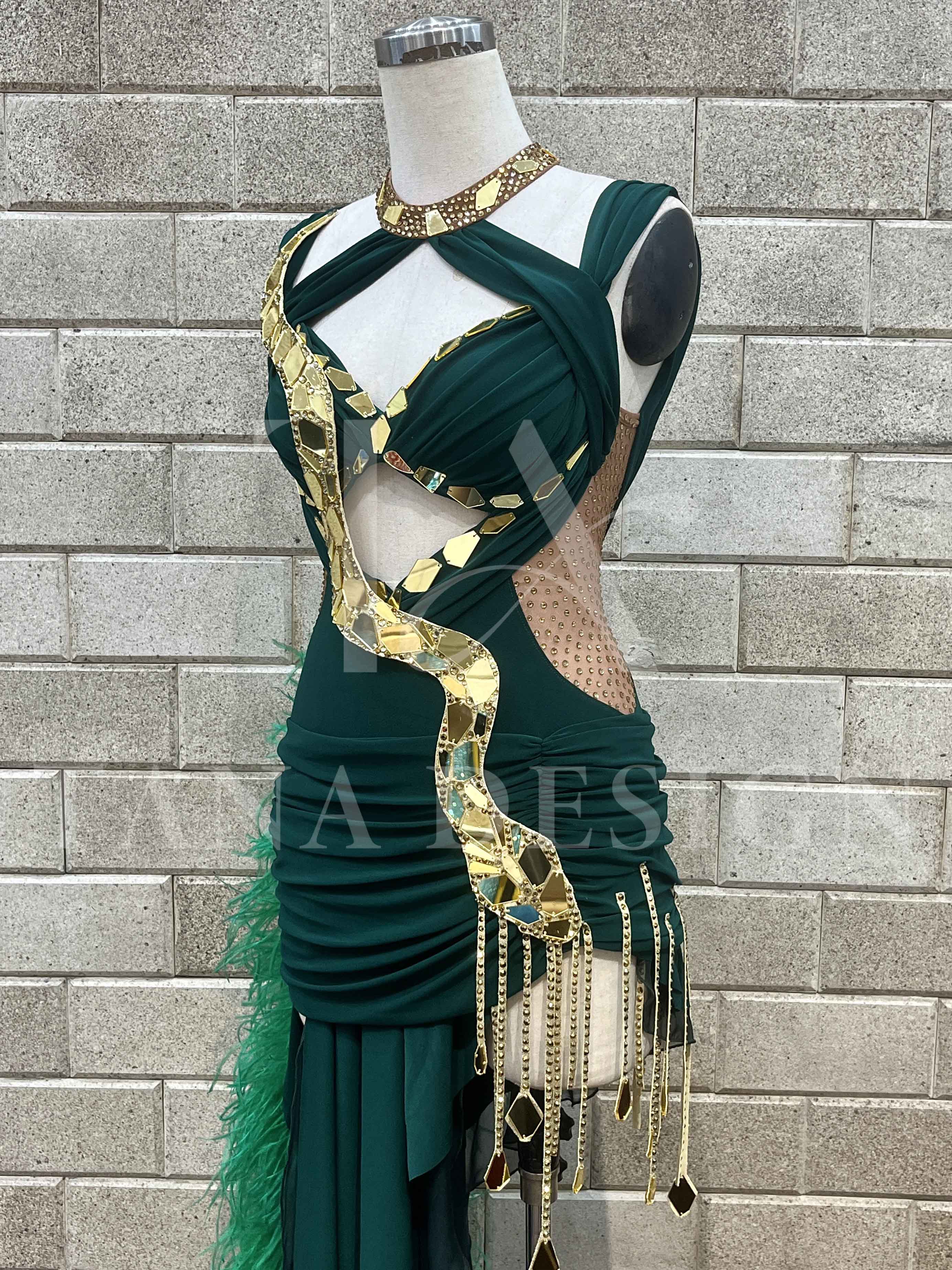 Women Competion Latin Ballroom Dance Dress - Smooth, Salsa, Rumba, Swing - TANA Lycra, Chiffon, Mesh, Open Back Dancewear (5) Women-Competion-Latin-Ballroom-Dance-Dress-Smooth-Salsa-Rumba-Swing-TANA-Lycra-Chiffon-Mesh-Open-Back-Dancewear