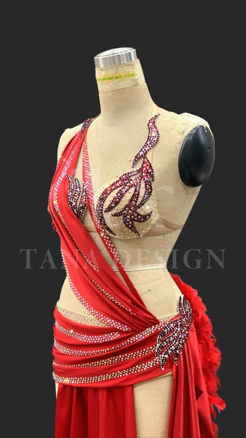 Women-Competion-Latin-Ballroom-Dance-Dress-Smooth-Salsa-Rumba-Swing-Lycra-Feather-Open-Back