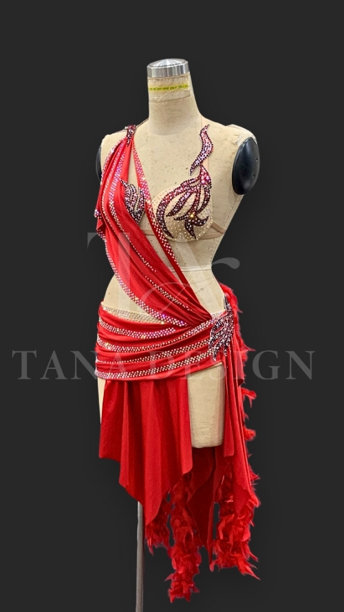 Women-Competion-Latin-Ballroom-Dance-Dress-Smooth-Salsa-Rumba-Swing-Lycra-Feather-Open-Back