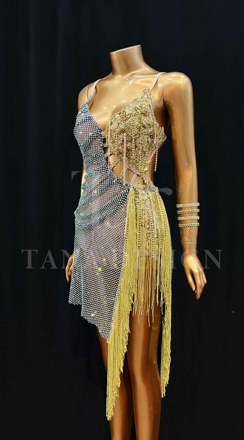 Women-Competion-Latin-Ballroom-Dance-Dress-Smooth-Salsa-Rumba-Swing-Lycra-Mesh-Open-Back-Finge-Rhinestone