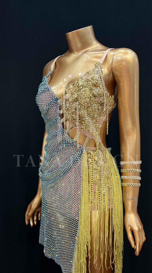 Women-Competion-Latin-Ballroom-Dance-Dress-Smooth-Salsa-Rumba-Swing-Lycra-Mesh-Open-Back-Finge-Rhinestone