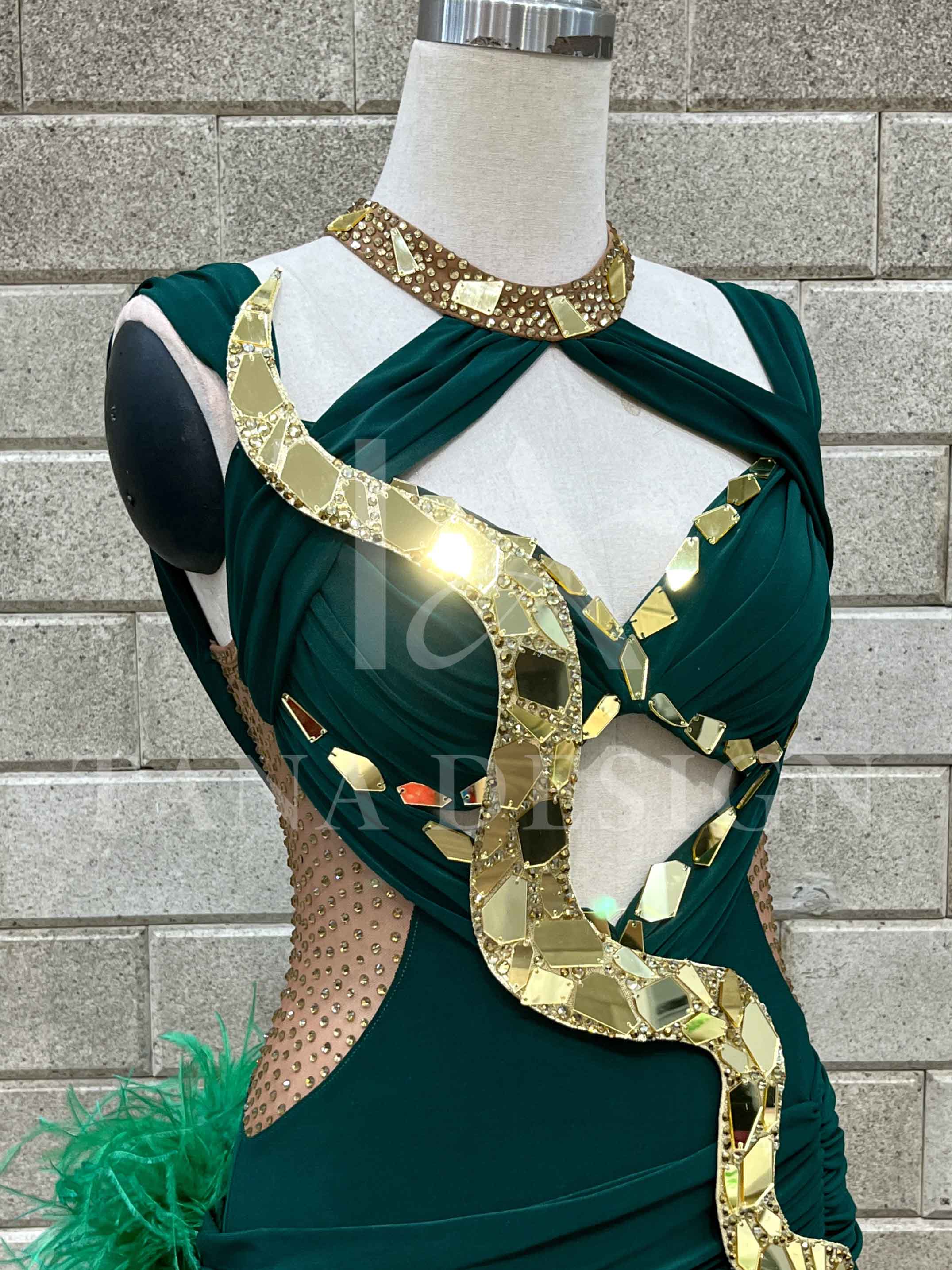 Women Competion Latin Ballroom Dance Dress - Smooth, Salsa, Rumba, Swing - TANA Lycra, Chiffon, Mesh, Open Back Dancewear (1) Women-Competion-Latin-Ballroom-Dance-Dress-Smooth-Salsa-Rumba-Swing-TANA-Lycra-Chiffon-Mesh-Open-Back-Dancewear