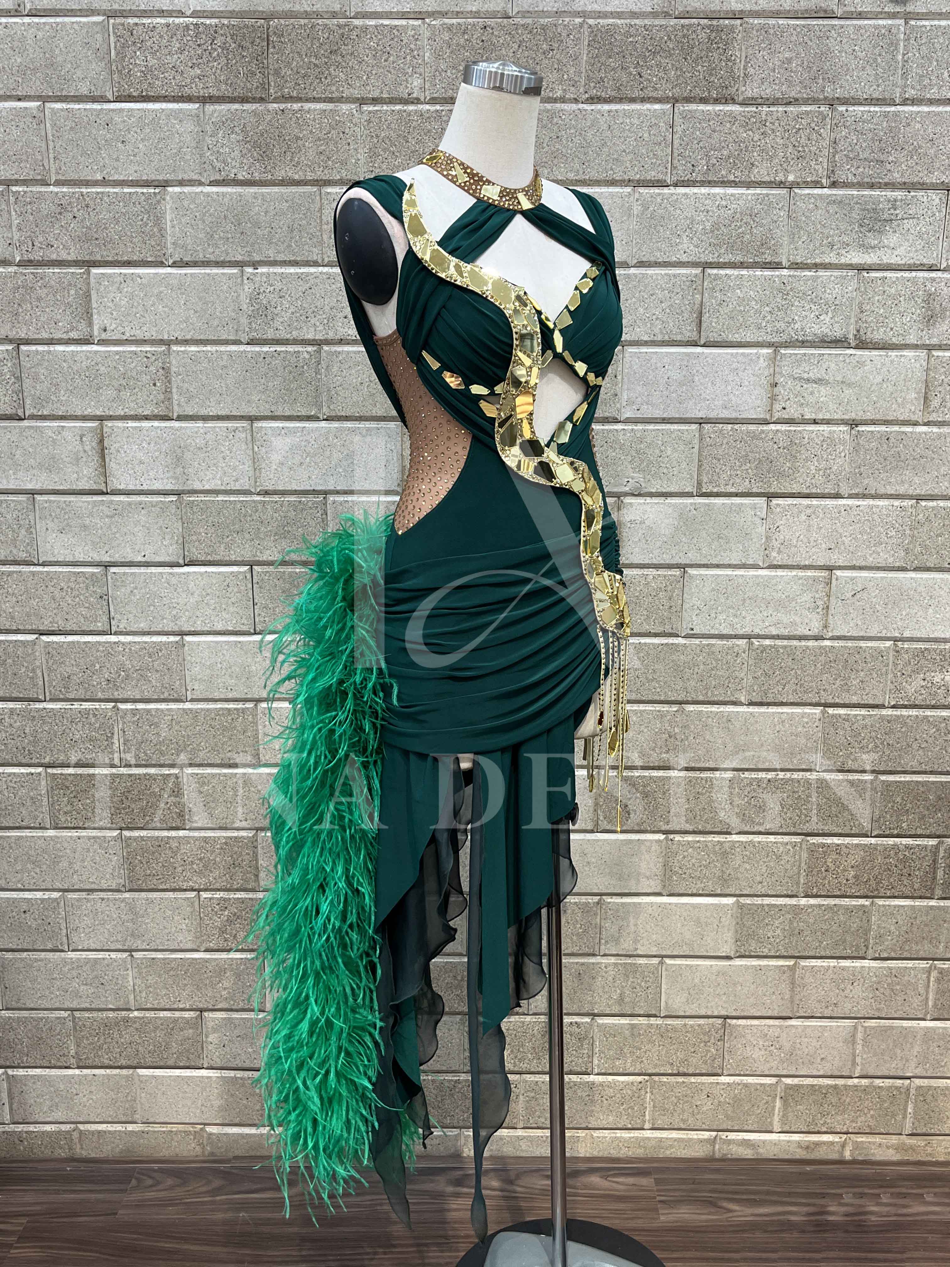 Women Competion Latin Ballroom Dance Dress - Smooth, Salsa, Rumba, Swing - TANA Lycra, Chiffon, Mesh, Open Back Dancewear (2) Women-Competion-Latin-Ballroom-Dance-Dress-Smooth-Salsa-Rumba-Swing-TANA-Lycra-Chiffon-Mesh-Open-Back-Dancewear
