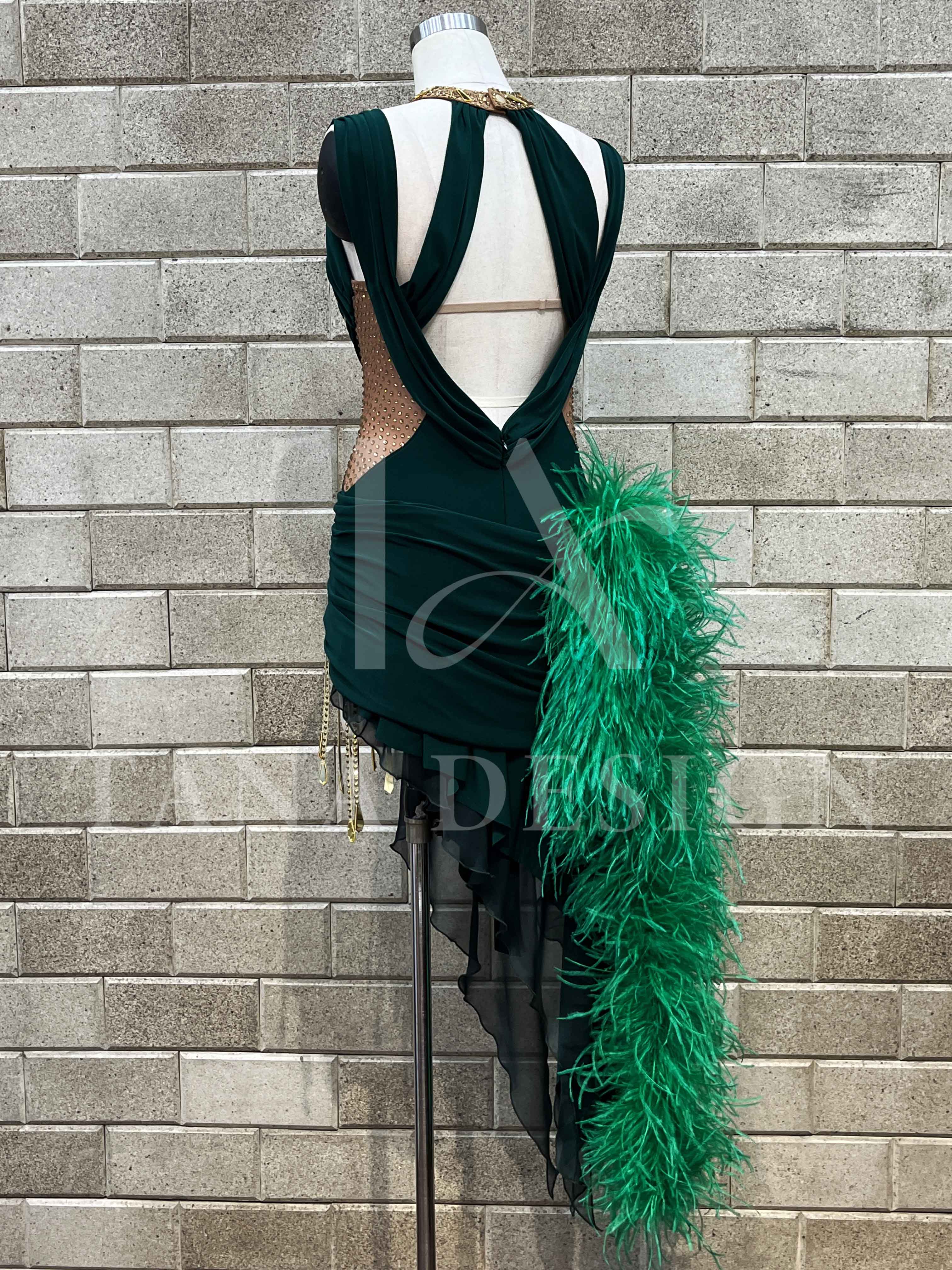 Women Competion Latin Ballroom Dance Dress - Smooth, Salsa, Rumba, Swing - TANA Lycra, Chiffon, Mesh, Open Back Dancewear (3) Women-Competion-Latin-Ballroom-Dance-Dress-Smooth-Salsa-Rumba-Swing-TANA-Lycra-Chiffon-Mesh-Open-Back-Dancewear
