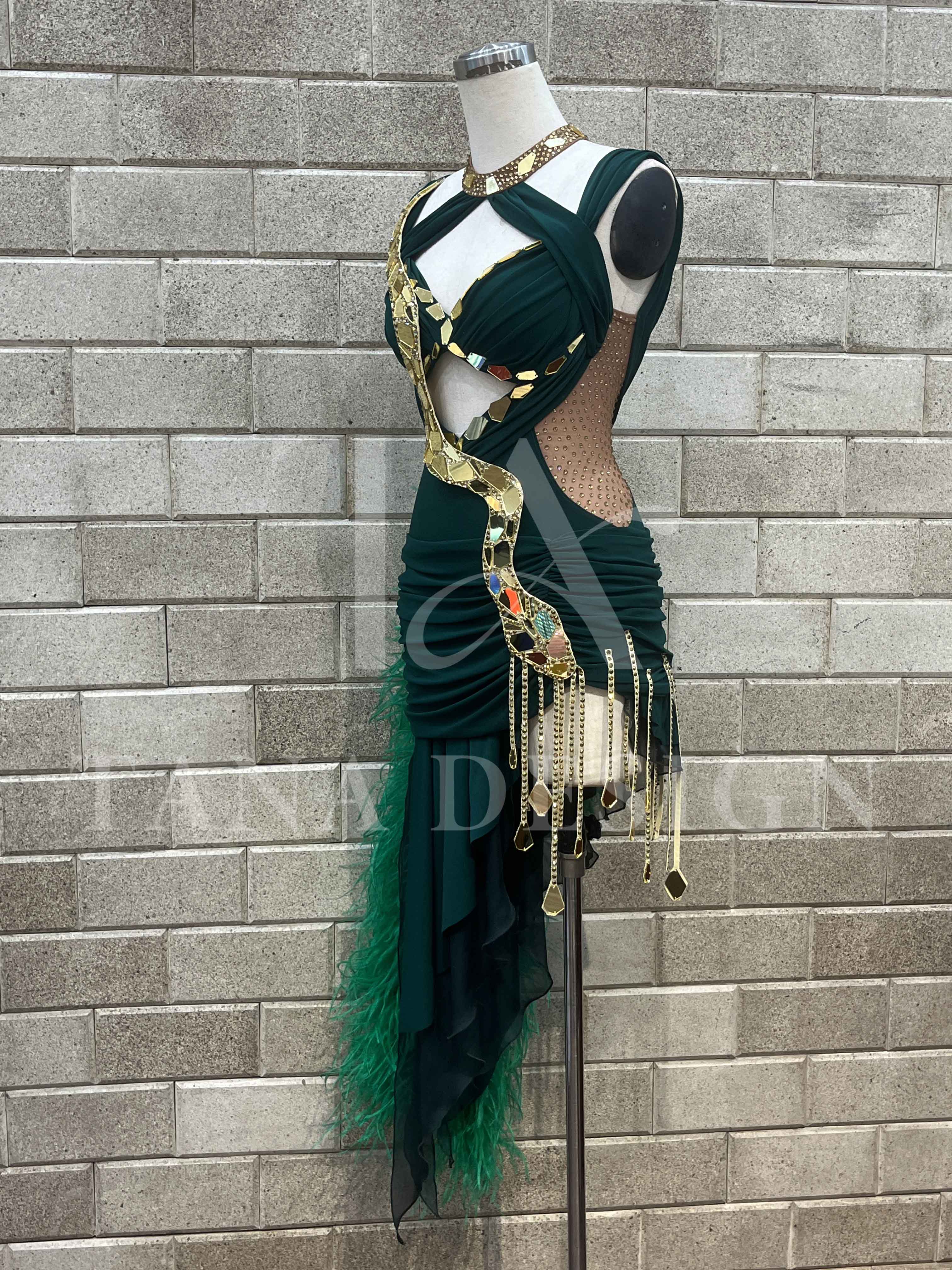 Women Competion Latin Ballroom Dance Dress - Smooth, Salsa, Rumba, Swing - TANA Lycra, Chiffon, Mesh, Open Back Dancewear (4) Women-Competion-Latin-Ballroom-Dance-Dress-Smooth-Salsa-Rumba-Swing-TANA-Lycra-Chiffon-Mesh-Open-Back-Dancewear