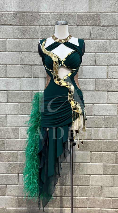 Women-Competion-Latin-Ballroom-Dance-Dress-Smooth-Salsa-Rumba-Swing-TANA-Lycra-Chiffon-Mesh-Open-Back-Dancewear