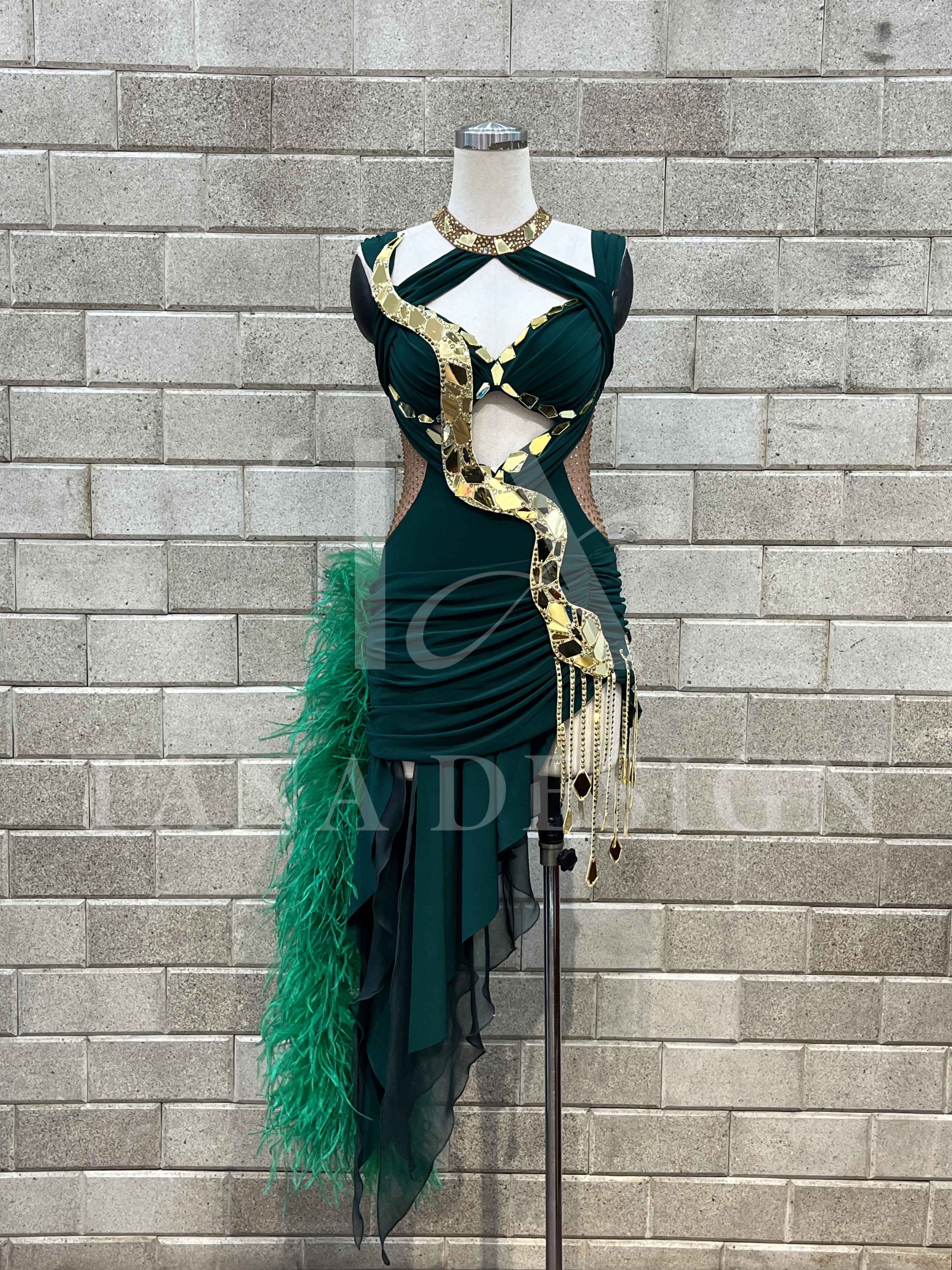 Women Competion Latin Ballroom Dance Dress - Smooth, Salsa, Rumba, Swing - TANA Lycra, Chiffon, Mesh, Open Back Dancewear (7) Women-Competion-Latin-Ballroom-Dance-Dress-Smooth-Salsa-Rumba-Swing-TANA-Lycra-Chiffon-Mesh-Open-Back-Dancewear