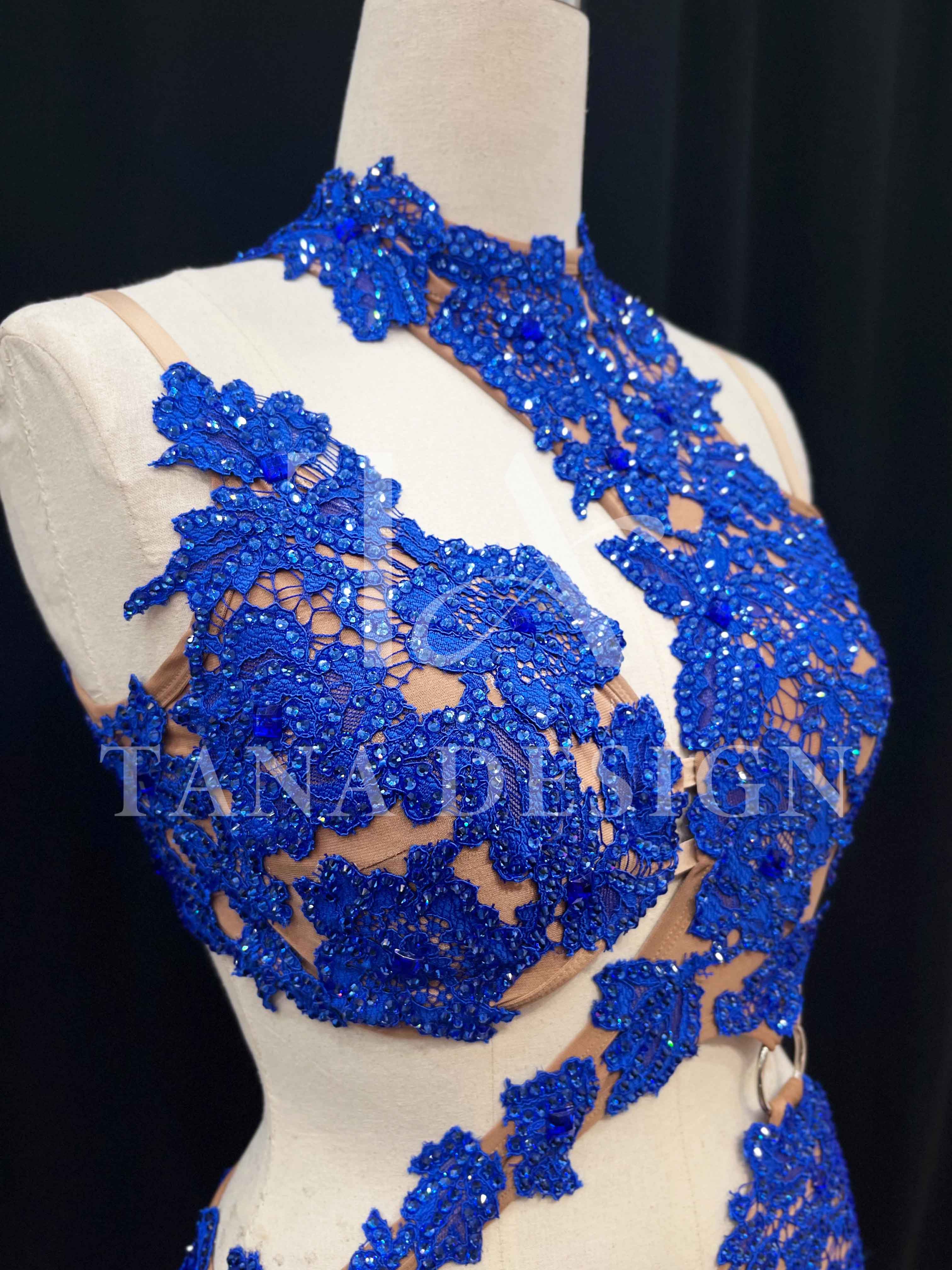 Women Competion Latin Ballroom Dance Dress - Smooth, Salsa, Rumba, Swing - TANA Lycra, Lace, Open Back, Beaded Fringe Dancewear (2) Women-Competion-Latin-Ballroom-Dance-Dress-Smooth-Salsa-Rumba-Swing-TANA-Lycra-Lace-Open-Back-Beaded-Fringe-Dancewear