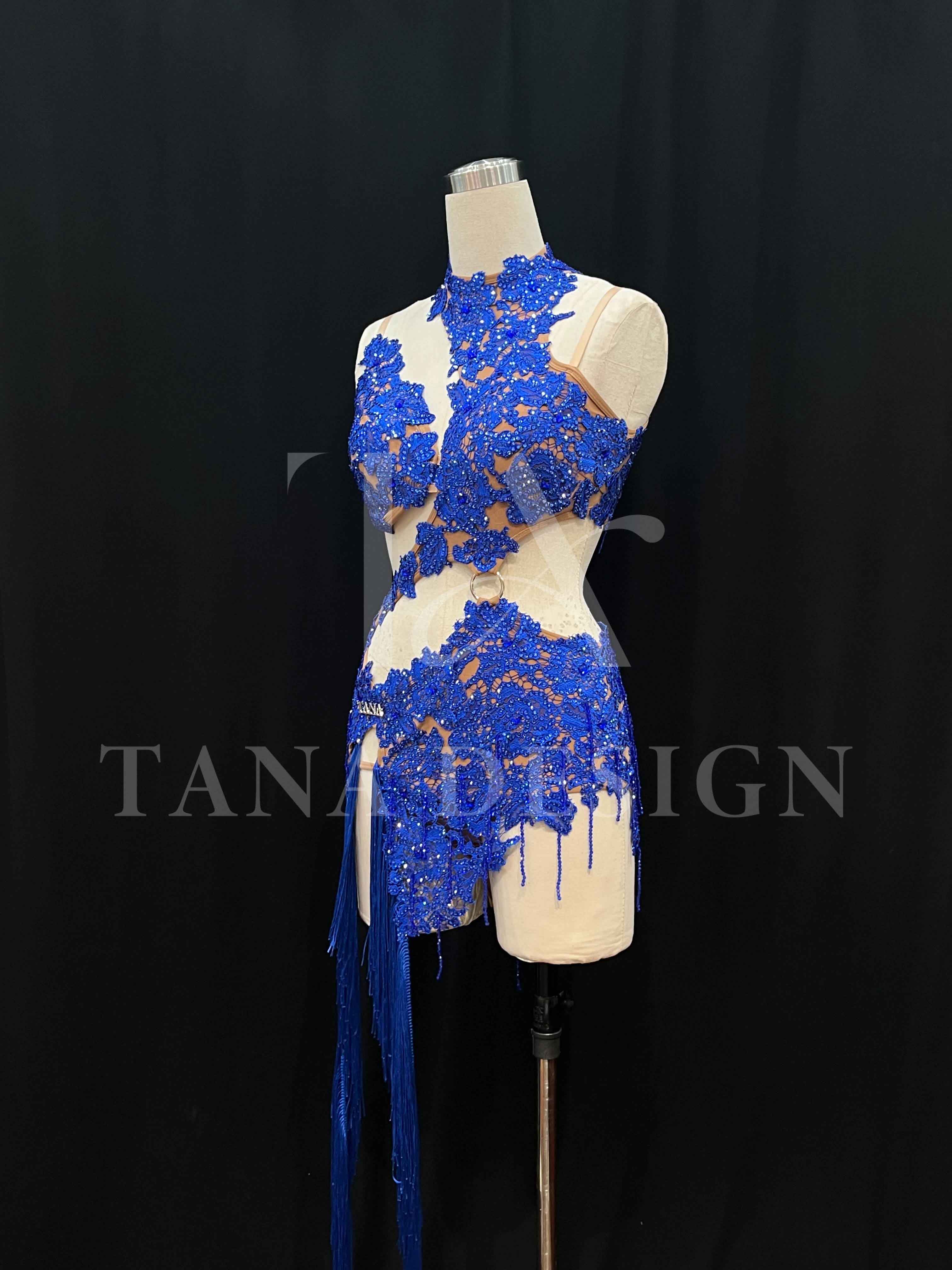 Women Competion Latin Ballroom Dance Dress - Smooth, Salsa, Rumba, Swing - TANA Lycra, Lace, Open Back, Beaded Fringe Dancewear (5) Women-Competion-Latin-Ballroom-Dance-Dress-Smooth-Salsa-Rumba-Swing-TANA-Lycra-Lace-Open-Back-Beaded-Fringe-Dancewear