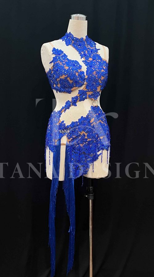 Women-Competion-Latin-Ballroom-Dance-Dress-Smooth-Salsa-Rumba-Swing-TANA-Lycra-Lace-Open-Back-Beaded-Fringe-Dancewear