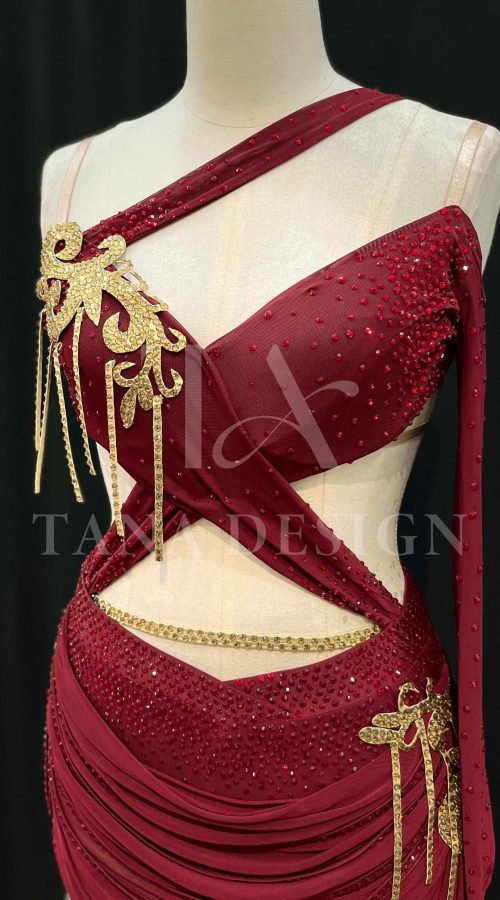 Women-Competion-Latin-Ballroom-Dance-Dress-Smooth-Salsa-Rumba-Swing-TANA-Lycra-Mesh-Open-Back-Beaded-Fringe-Dancewear