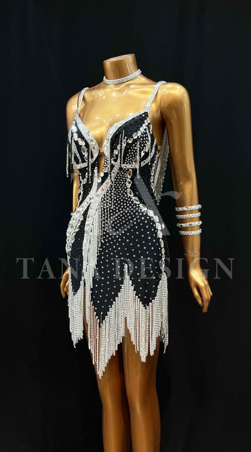Women-Competion-Latin-Ballroom-Dance-Dress-Smooth-Salsa-Rumba-Swing-TANA-Lycra-Open-Back-Beaded-Fringe-Dancewear