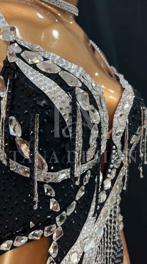Women-Competion-Latin-Ballroom-Dance-Dress-Smooth-Salsa-Rumba-Swing-TANA-Lycra-Open-Back-Beaded-Fringe-Dancewear