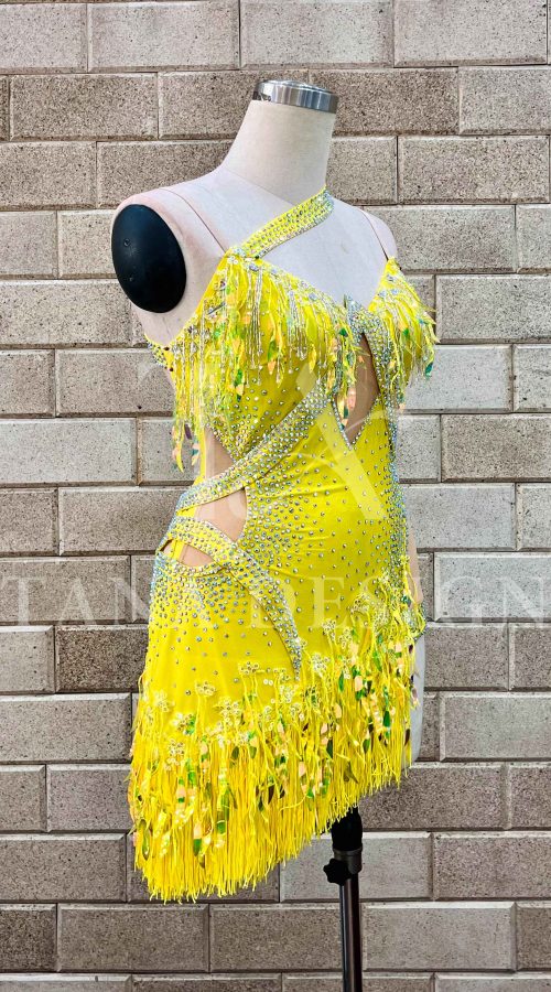 women-competition-latin-ballroom-dance-dress-smooth-salsa-rumbe-swing-tana-lycra-open-back-sequin-fringe-dancewear