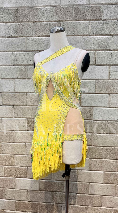 women-competition-latin-ballroom-dance-dress-smooth-salsa-rumbe-swing-tana-lycra-open-back-sequin-fringe-dancewear