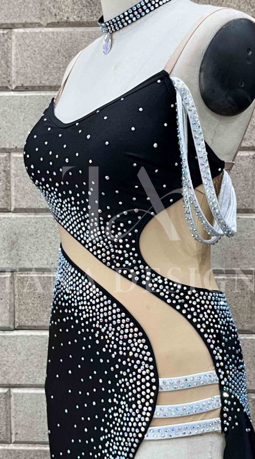 Women Competion Latin Ballroom Dance Dress - Smooth, Salsa, Rumba, Swing - TANA Lycra, Close Back Dancewear
