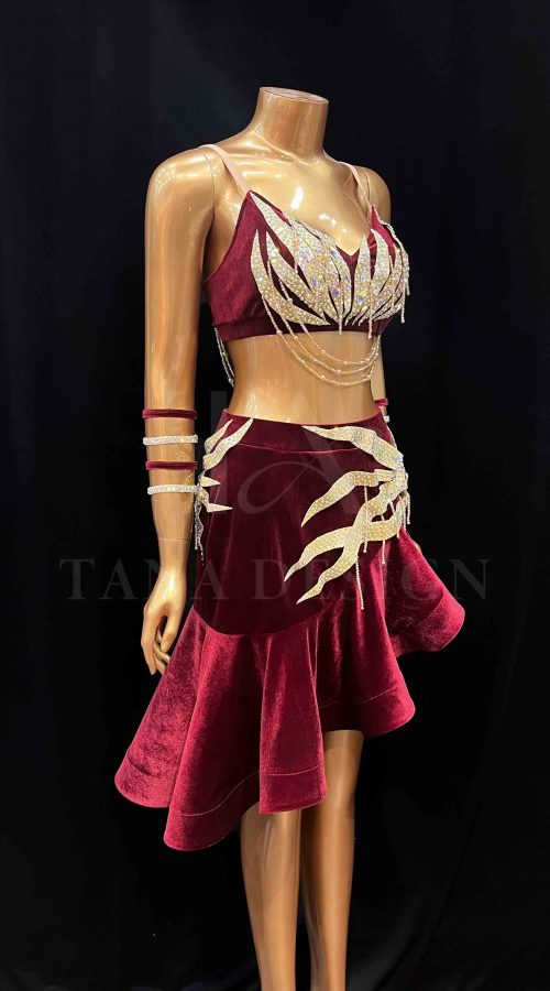 Custom-Women-Competion-Latin-Ballroom-Dance-Dress-Smooth-Salsa-Rumba-Swing-TANA-Velvet-Open-Back-Beaded-Fringe-Dancewear-