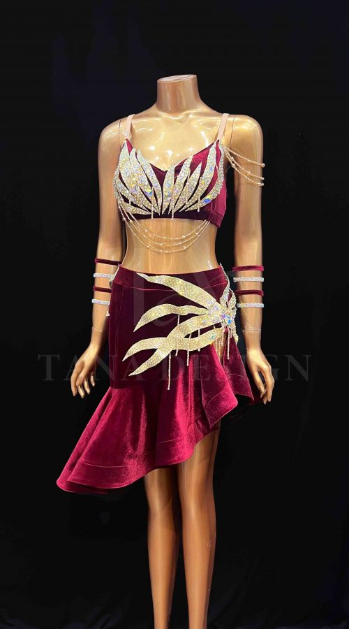 Custom-Women-Competion-Latin-Ballroom-Dance-Dress-Smooth-Salsa-Rumba-Swing-TANA-Velvet-Open-Back-Beaded-Fringe-Dancewear-
