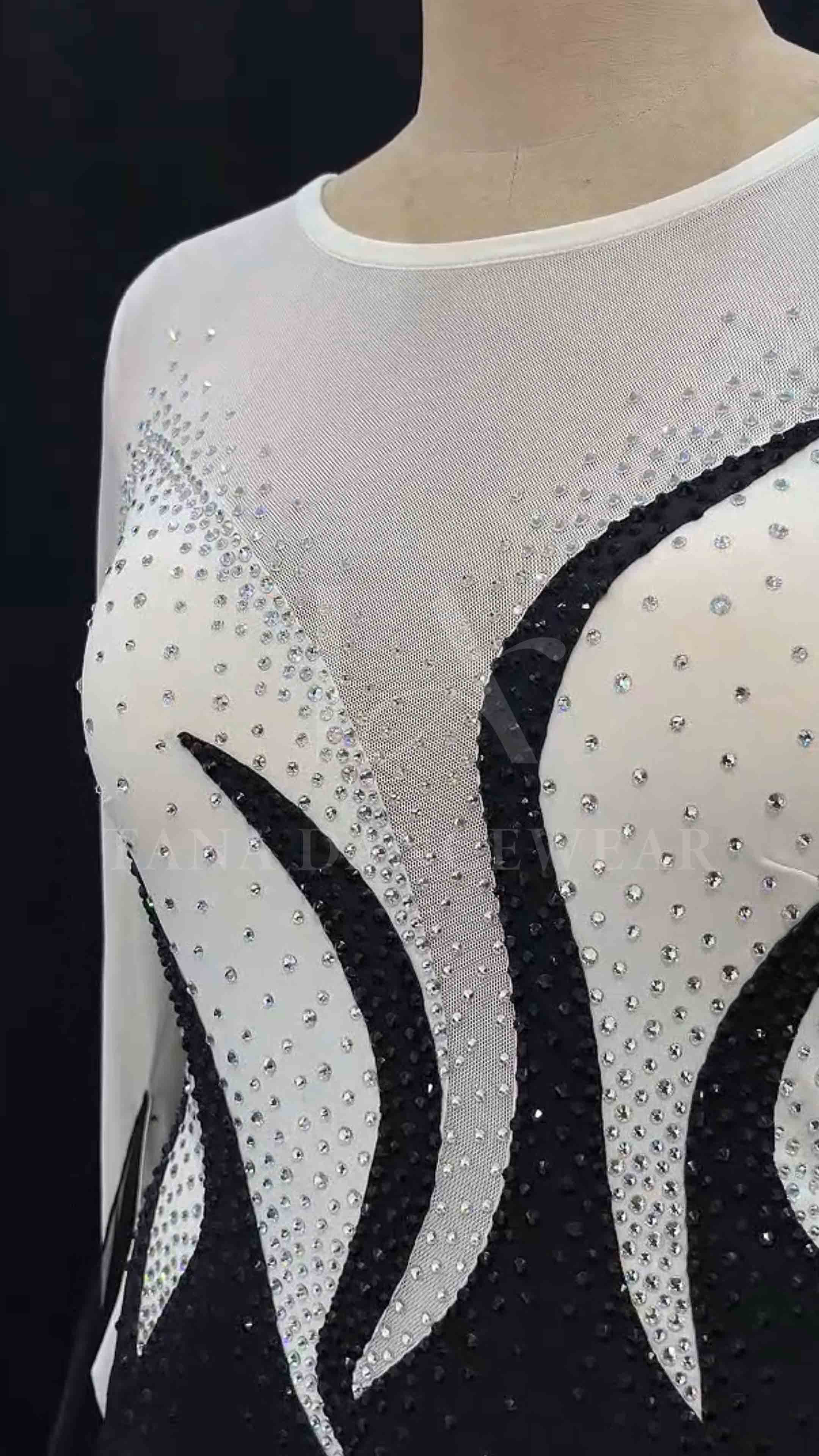 Custom Women Competition Latin Ballroom Dance Dress - Smooth, Salsa, Rumba, Swing- Lycra Mesh Feather (11) Black and white competition ballroom dance dress with ostrich feathers by Tana Dancewear