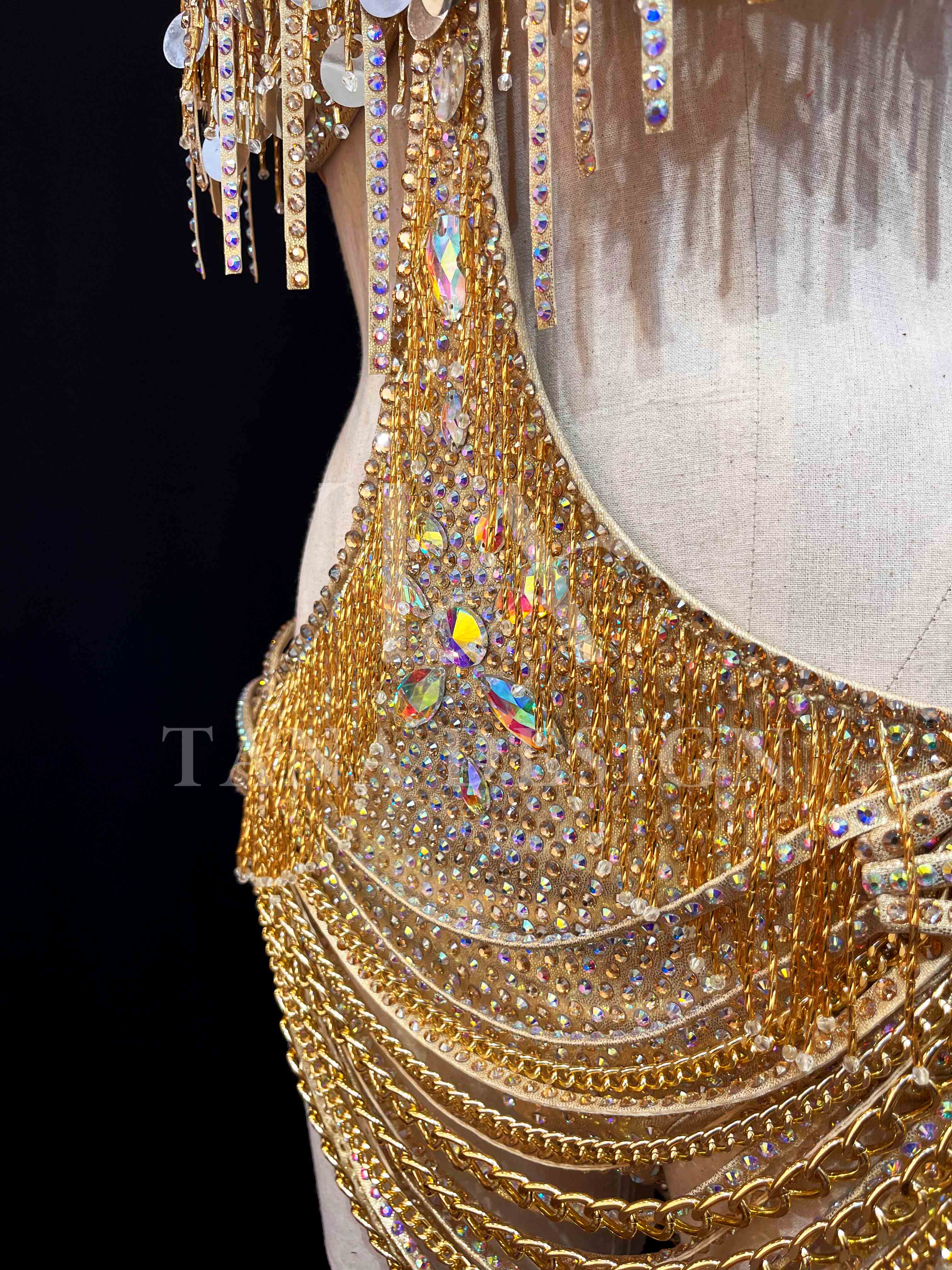 tana-women-competition-latin-dance-dress-gold-holographic (4) Gold holographic women competition Latin dance dress with open back, gold chains, and rhinestone fringe by Tana Dancewear.