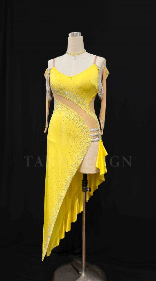 Custom-Women-Competition-Latin-Ballroom-Dance-Dress-Smooth-Salsa-Rumba-Swing-lycra-open-back