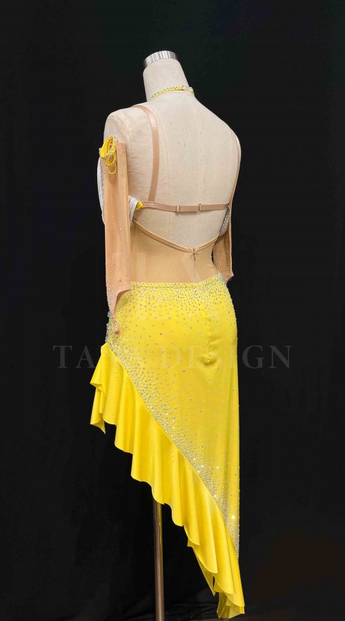 Custom-Women-Competition-Latin-Ballroom-Dance-Dress-Smooth-Salsa-Rumba-Swing-lycra-open-back
