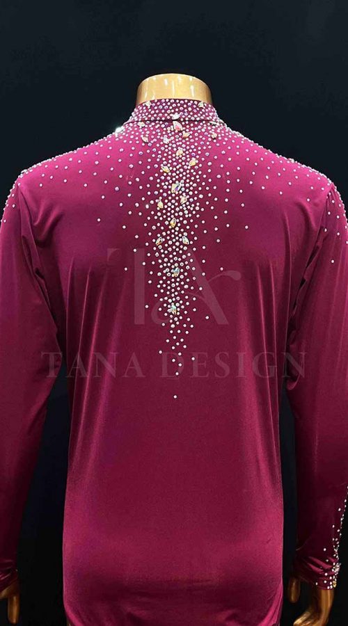 Men-Competion-Latin-Ballroom-Dance-Shirt-Smooth-Salsa-Rumba-Swing-TANA-dancewear-lycra-mesh-turtle-neck