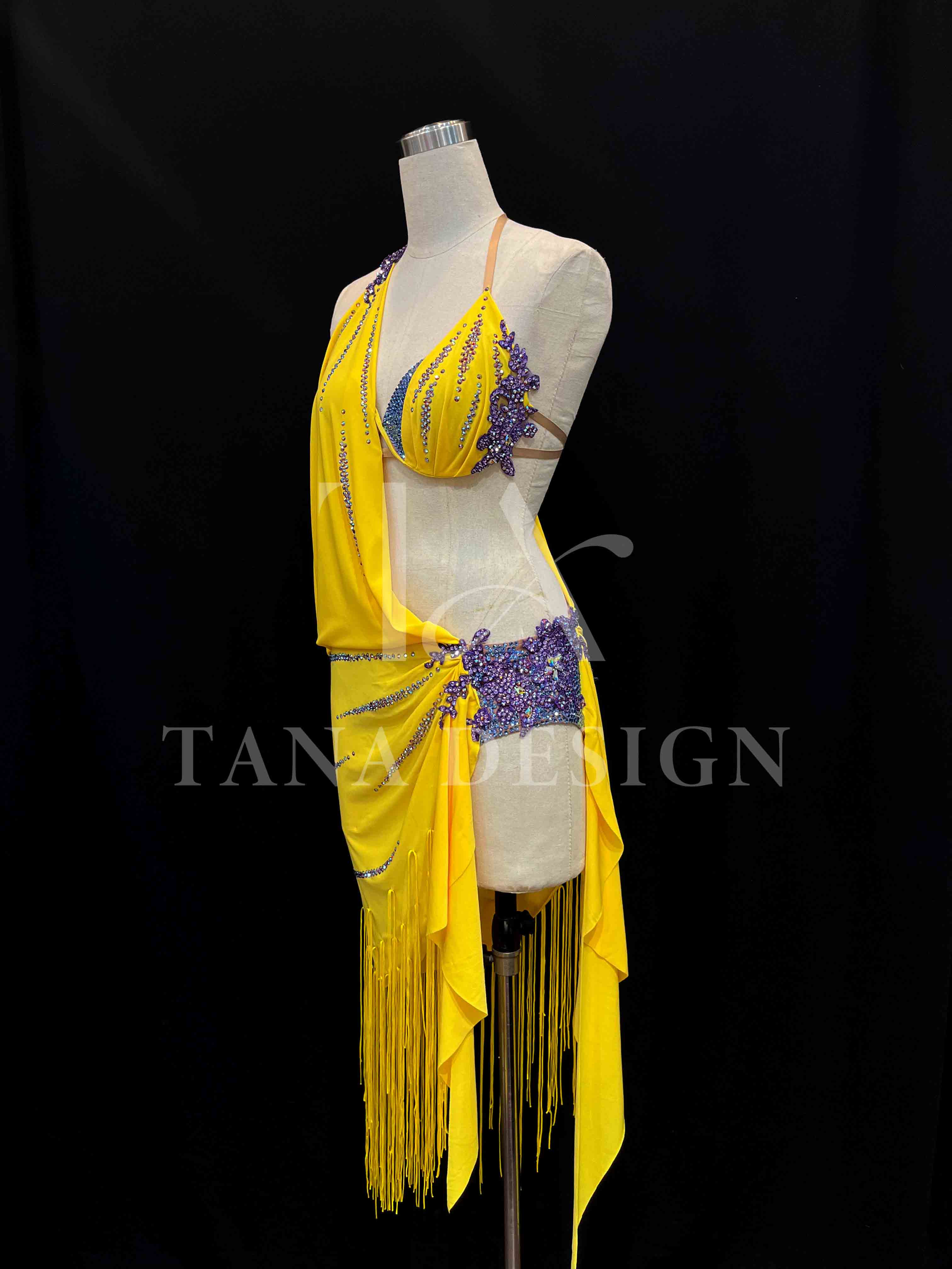 Women Competion Latin Ballroom Dance Dress Smooth Salsa Rumba Swing TANA dancewear lycra cover back fringe (7) Women Competion Latin Ballroom Dance Dress Smooth Salsa Rumba Swing TANA dancewear lycra cover back fringe