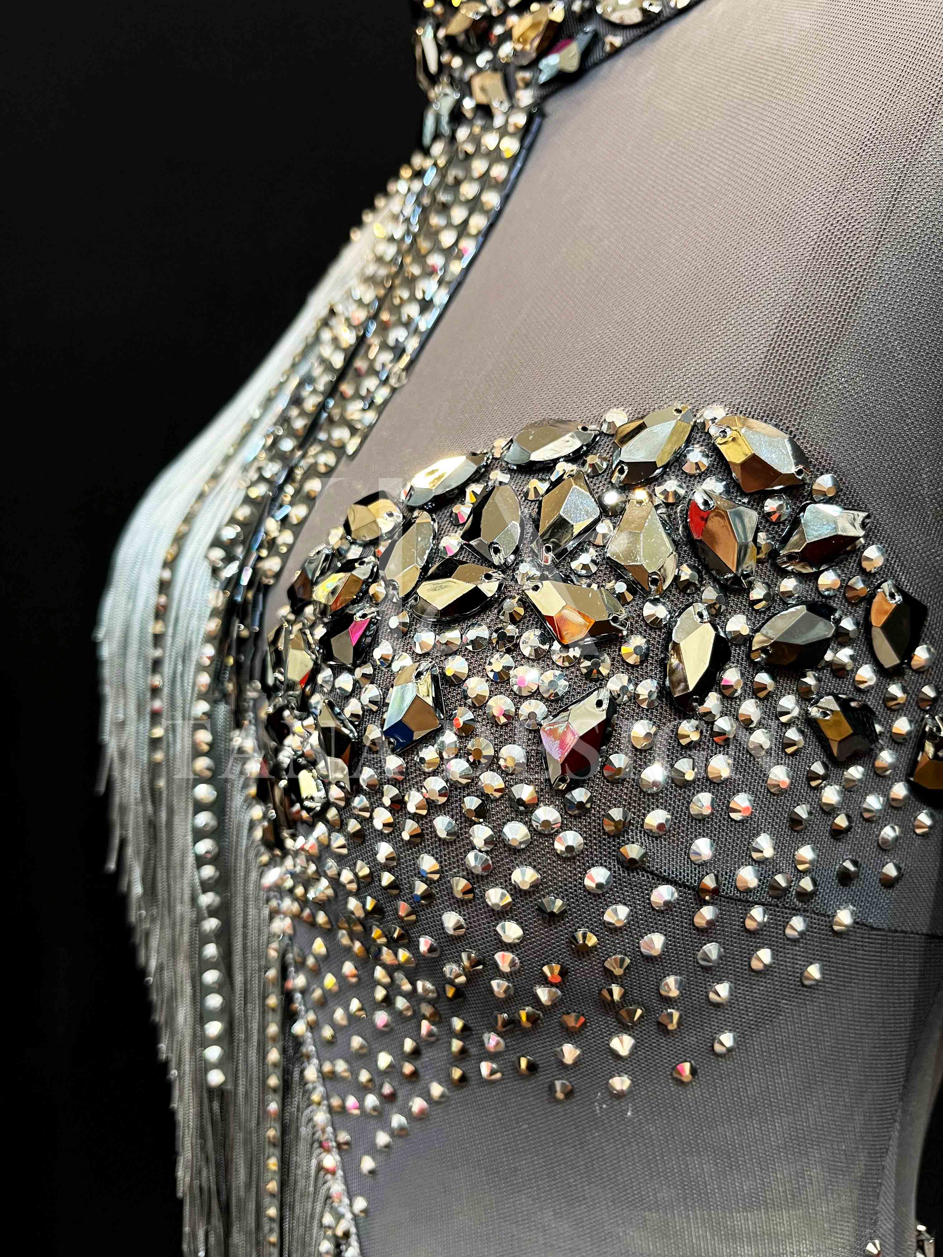 Women Competion Latin Ballroom Dance Dress Smooth Salsa Rumba Swing TANA dancewear lycra mesh cover back beaded fring, rhinestones fringe (3) Women Competion Latin Ballroom Dance Dress Smooth Salsa Rumba Swing TANA dancewear lycra mesh cover back beaded fring, rhinestones fringe (3)