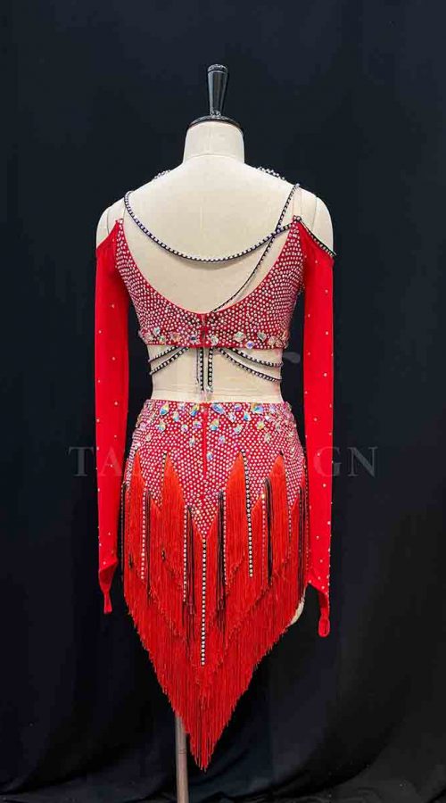 Women-Competion-Latin-Ballroom-Dance-Dress-Smooth-Salsa-Rumba-Swing-TANA-dancewear-lycra-mesh-open-back-fringe-rhinestone-fringe
