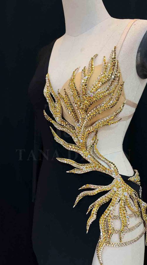 Women-Competion-Latin-Ballroom-Dance-Dress-Smooth-Salsa-Rumba-Swing-TANA-dancewear-lycra-open-back