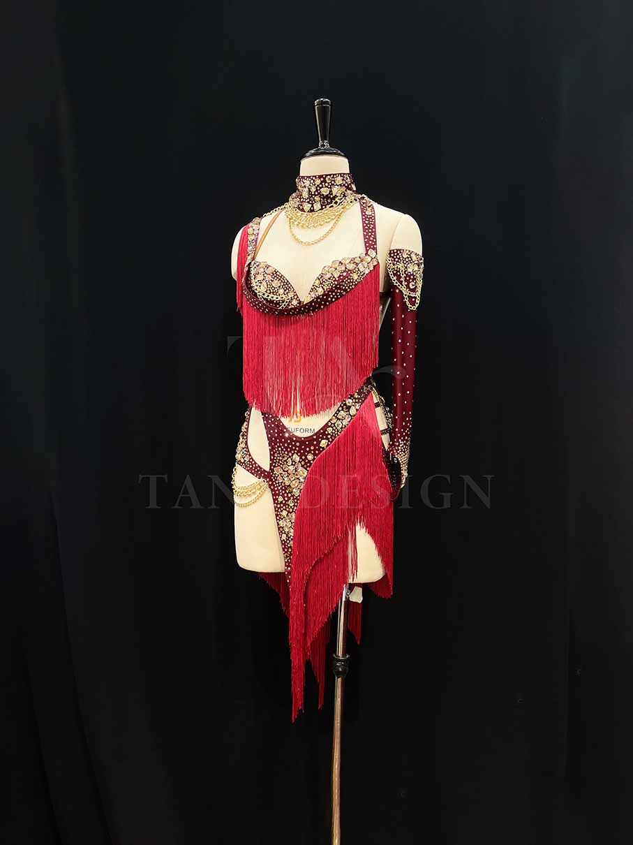Women Competion Latin Ballroom Dance Dress Smooth Salsa Rumba Swing TANA dancewear lycra open back fringe chain (1) Women-Competion-Latin-Ballroom-Dance-Dress-Smooth-Salsa-Rumba-Swing-TANA-dancewear-lycra-open-back-fringe-chain