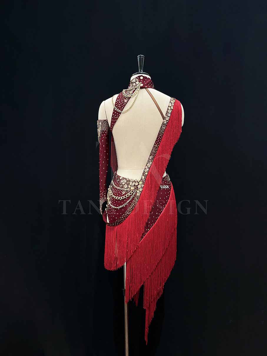 Women Competion Latin Ballroom Dance Dress Smooth Salsa Rumba Swing TANA dancewear lycra open back fringe chain (3) Women-Competion-Latin-Ballroom-Dance-Dress-Smooth-Salsa-Rumba-Swing-TANA-dancewear-lycra-open-back-fringe-chain