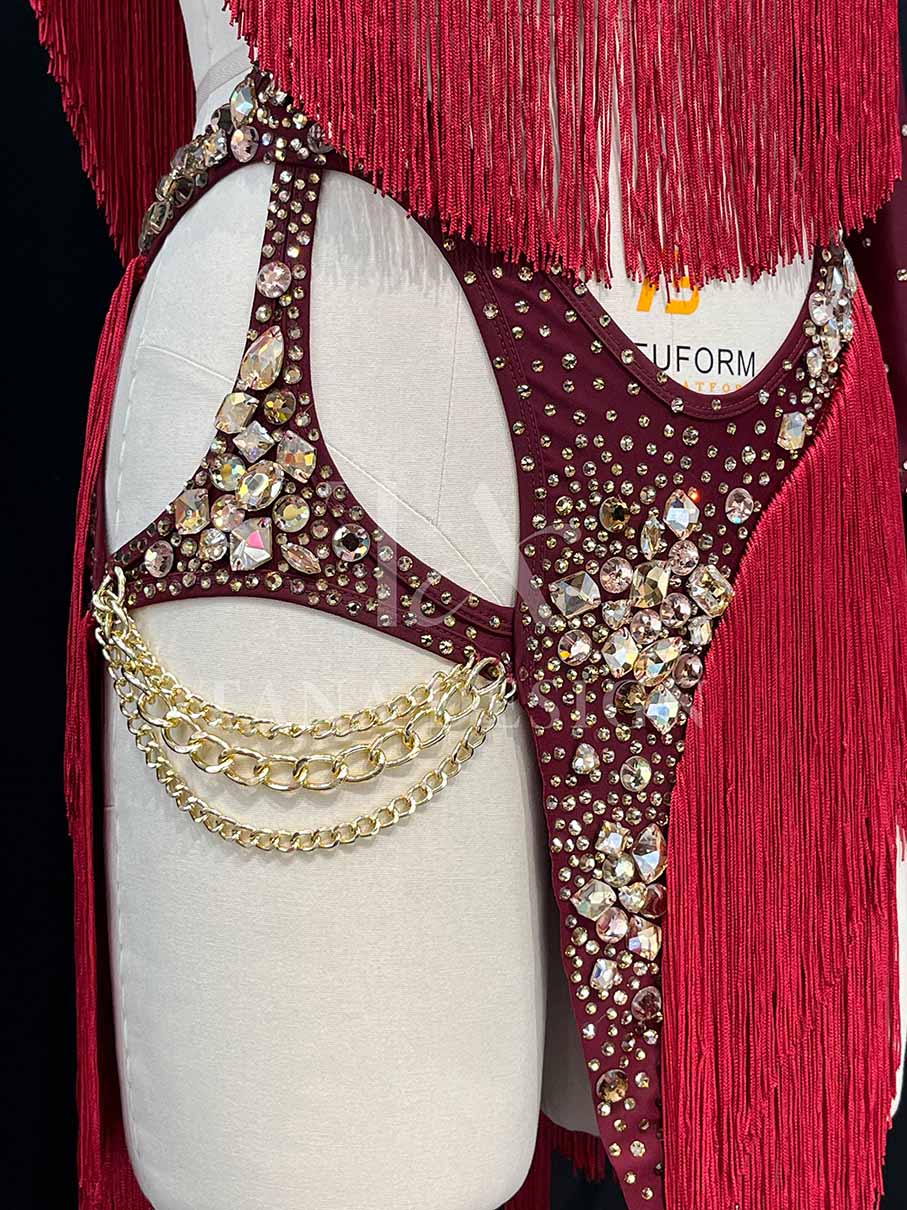 Women Competion Latin Ballroom Dance Dress Smooth Salsa Rumba Swing TANA dancewear lycra open back fringe chain (8) Women-Competion-Latin-Ballroom-Dance-Dress-Smooth-Salsa-Rumba-Swing-TANA-dancewear-lycra-open-back-fringe-chain