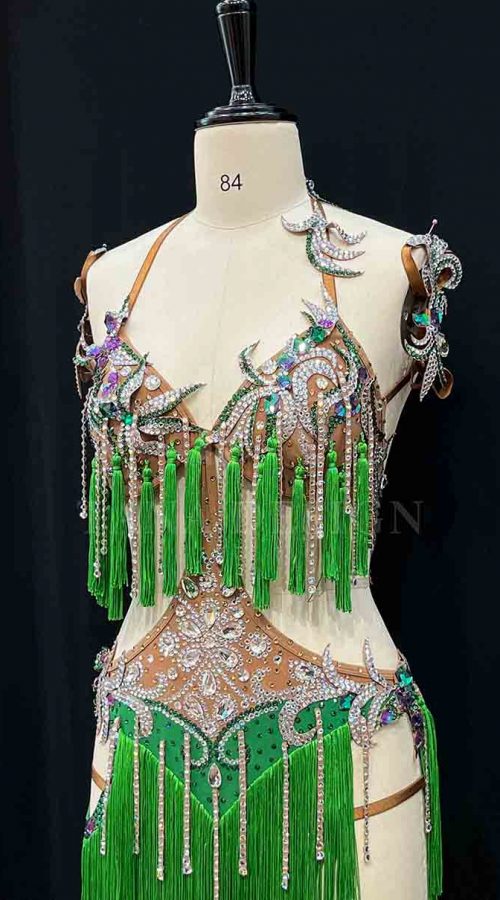 Women-Competion-Latin-Ballroom-Dance-Dress-Smooth-Salsa-Rumba-Swing-TANA-dancewear-lycra-open-back-fringe-rhinestone-fringe
