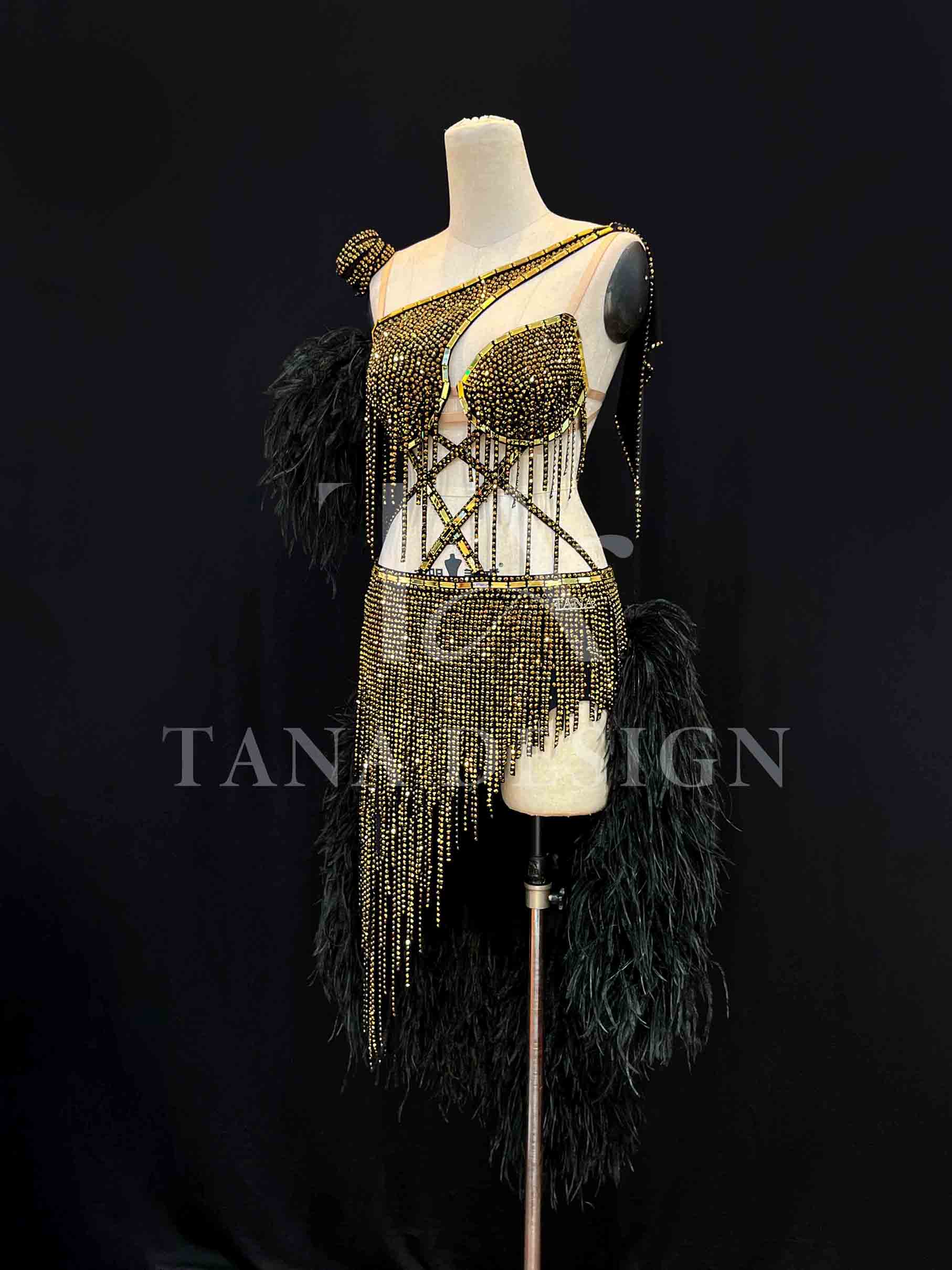 Women Competion Latin Ballroom Dance Dress Smooth Salsa Rumba Swing TANA dancewear lycra open back rhinestones fringe feather (1) https://tana101.com.vn/shop/women-competition-ballroom-latin-dance-dress-smooth-salsa-rumba-swing-st5022/