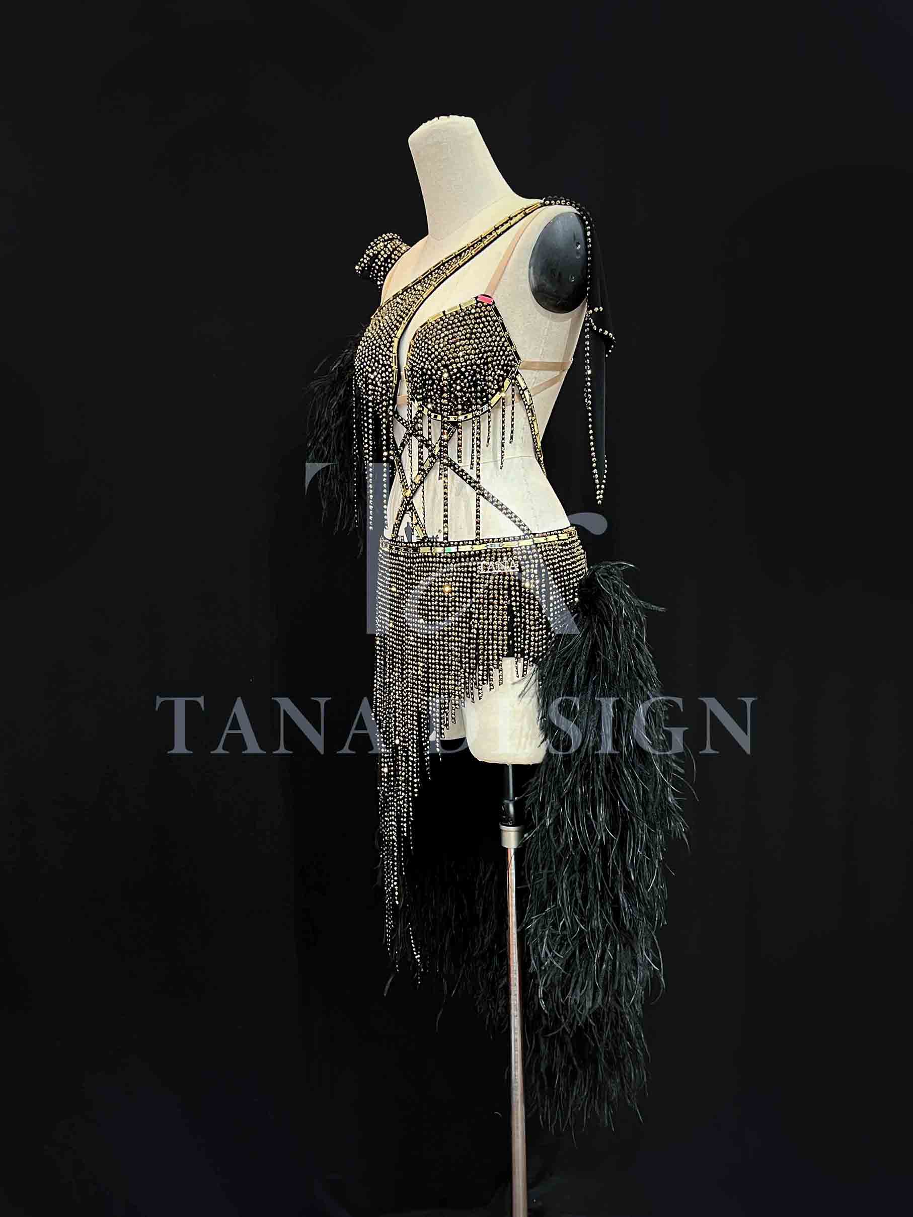 Women Competion Latin Ballroom Dance Dress Smooth Salsa Rumba Swing TANA dancewear lycra open back rhinestones fringe feather (2) https://tana101.com.vn/shop/women-competition-ballroom-latin-dance-dress-smooth-salsa-rumba-swing-st5022/