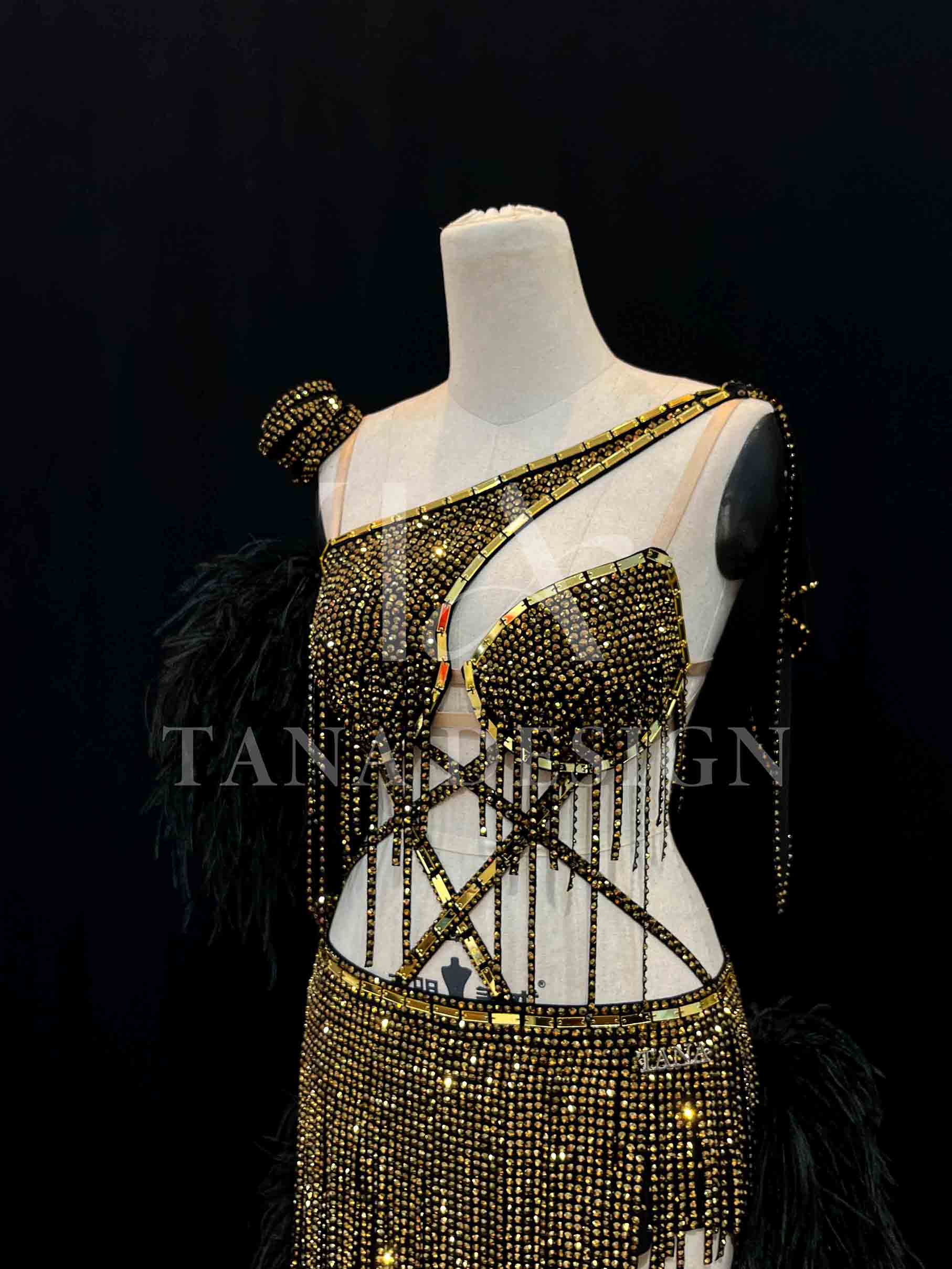 Women Competion Latin Ballroom Dance Dress Smooth Salsa Rumba Swing TANA dancewear lycra open back rhinestones fringe feather (6) https://tana101.com.vn/shop/women-competition-ballroom-latin-dance-dress-smooth-salsa-rumba-swing-st5022/