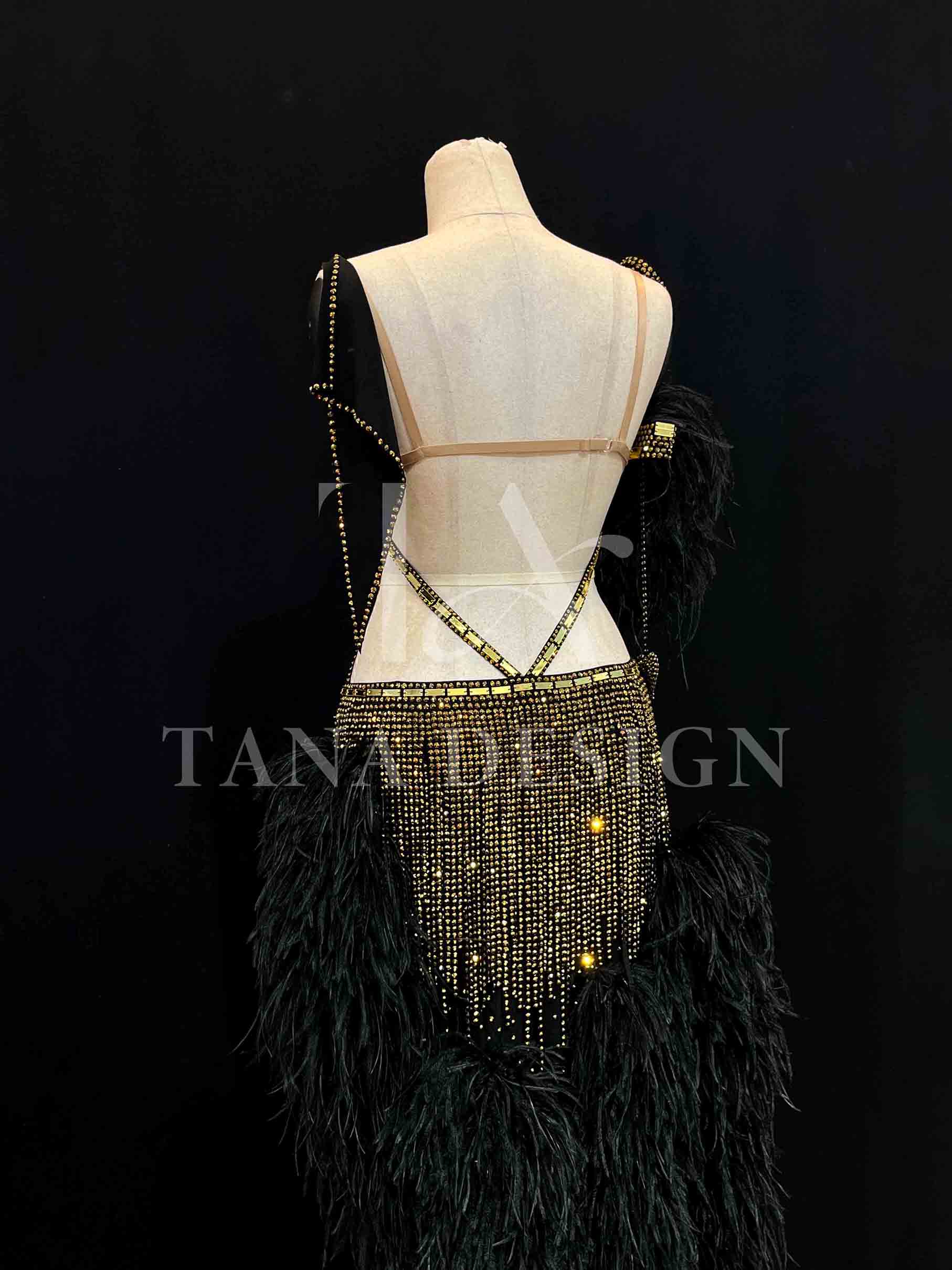 Women Competion Latin Ballroom Dance Dress Smooth Salsa Rumba Swing TANA dancewear lycra open back rhinestones fringe feather (7) https://tana101.com.vn/shop/women-competition-ballroom-latin-dance-dress-smooth-salsa-rumba-swing-st5022/