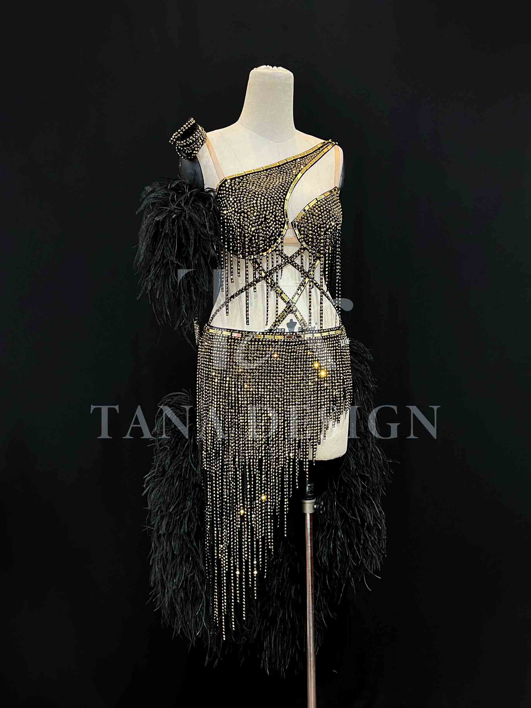 Women Competion Latin Ballroom Dance Dress Smooth Salsa Rumba Swing TANA dancewear lycra open back rhinestones fringe feather (8) https://tana101.com.vn/shop/women-competition-ballroom-latin-dance-dress-smooth-salsa-rumba-swing-st5022/